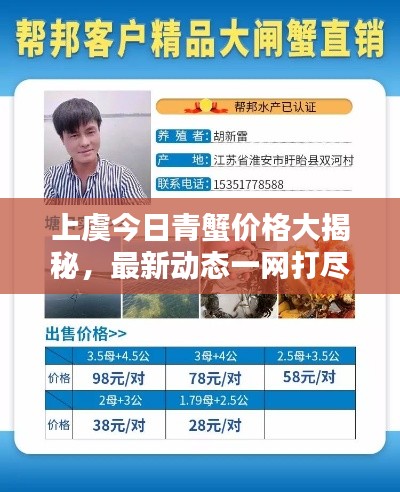 上虞今日青蟹价格大揭秘，最新动态一网打尽