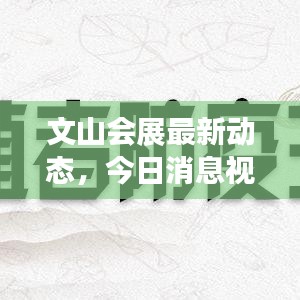 文山会展最新动态，今日消息视频速递