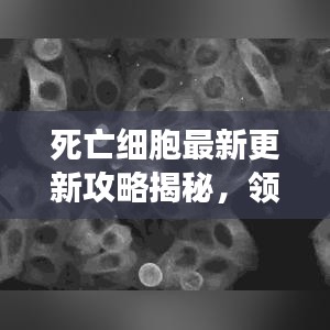 死亡细胞最新更新攻略揭秘，领先对手的游戏秘籍！