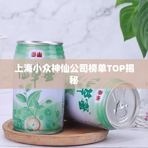 上海小众神仙公司榜单TOP揭秘
