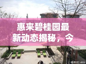 惠来碧桂园最新动态揭秘，今日更新消息抢先看