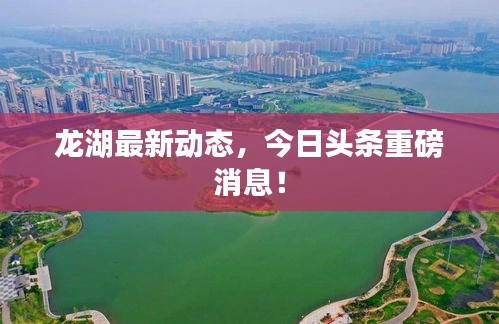 龙湖最新动态，今日头条重磅消息！