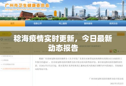 稔海疫情实时更新，今日最新动态报告