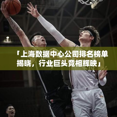 「上海数据中心公司排名榜单揭晓，行业巨头竞相辉映」