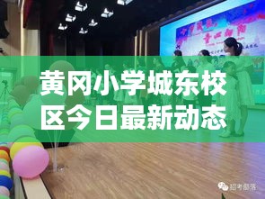 黄冈小学城东校区今日最新动态揭秘