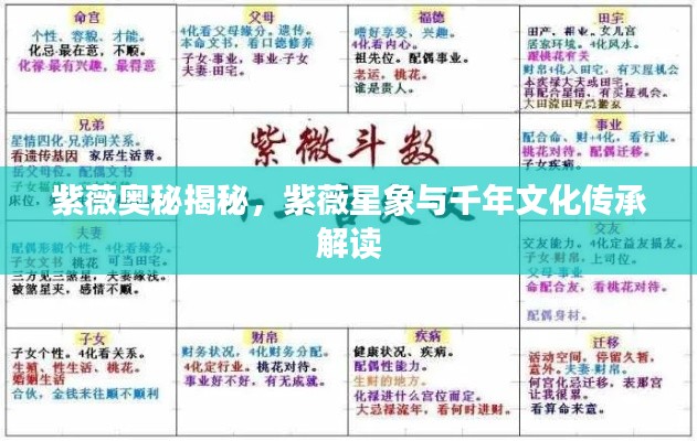 紫薇奥秘揭秘，紫薇星象与千年文化传承解读