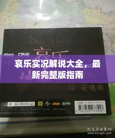 哀乐实况解说大全，最新完整版指南