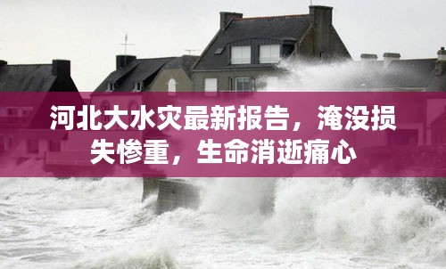 河北大水灾最新报告，淹没损失惨重，生命消逝痛心
