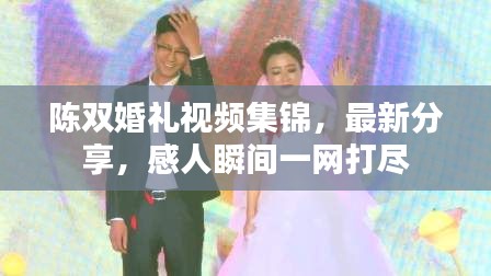 陈双婚礼视频集锦，最新分享，感人瞬间一网打尽