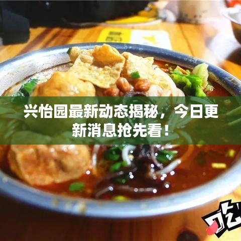 兴怡园最新动态揭秘，今日更新消息抢先看！