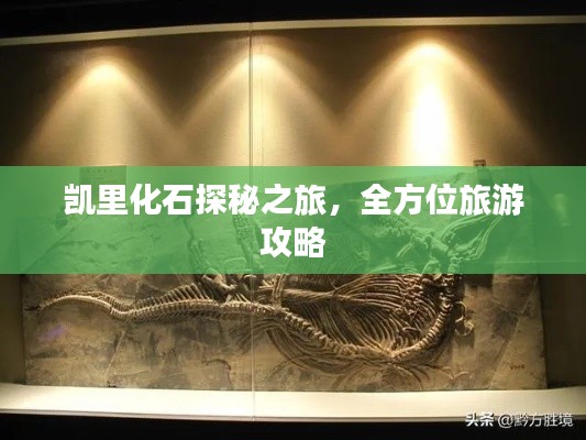 凯里化石探秘之旅，全方位旅游攻略