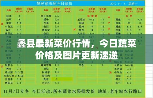 蠡县最新菜价行情，今日蔬菜价格及图片更新速递