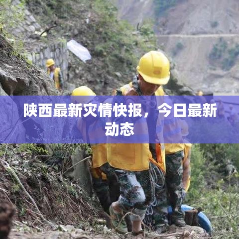 陕西最新灾情快报，今日最新动态