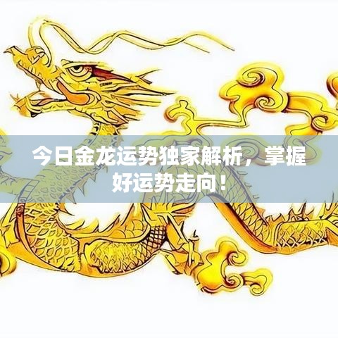 今日金龙运势独家解析，掌握好运势走向！
