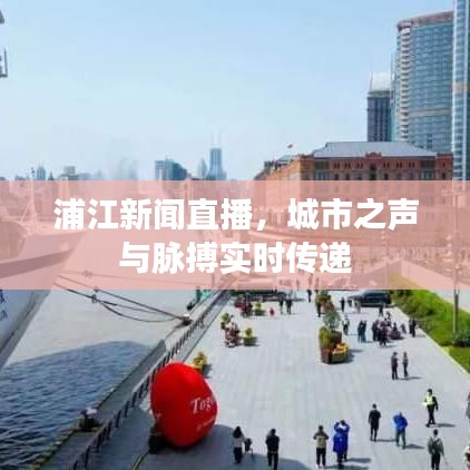 浦江新闻直播，城市之声与脉搏实时传递