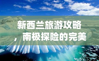 新西兰旅游攻略，南极探险的完美起点