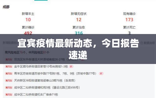 宜宾疫情最新动态，今日报告速递