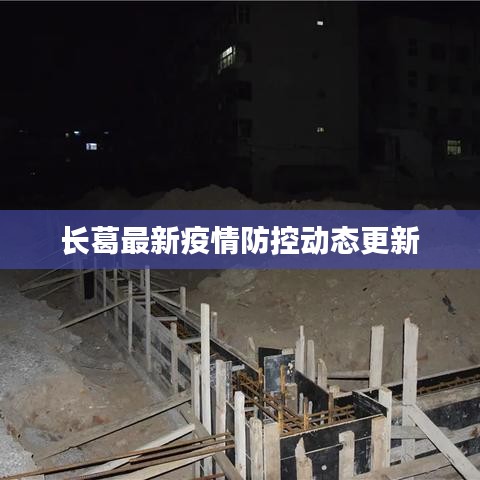 长葛最新疫情防控动态更新