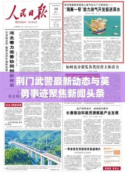 荆门武警最新动态与英勇事迹聚焦新闻头条
