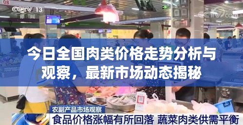 今日全国肉类价格走势分析与观察，最新市场动态揭秘