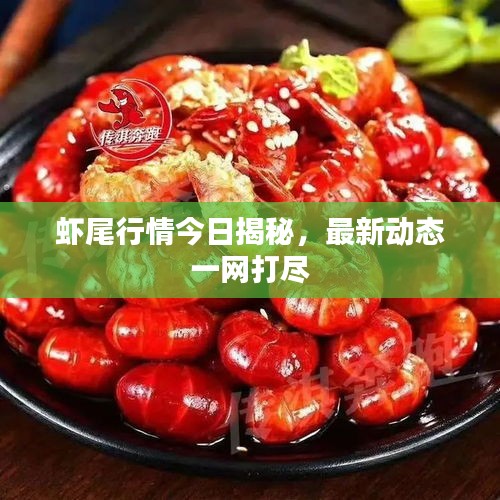 虾尾行情今日揭秘，最新动态一网打尽