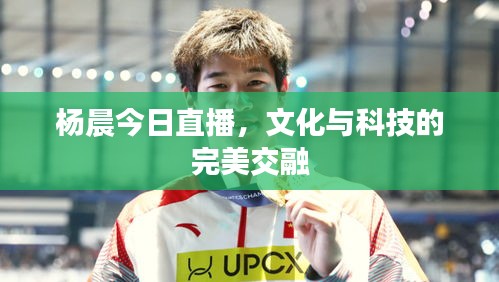 杨晨今日直播，文化与科技的完美交融