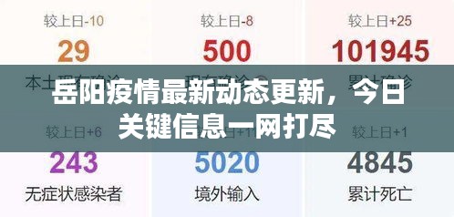 岳阳疫情最新动态更新，今日关键信息一网打尽