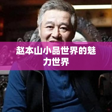 赵本山小品世界的魅力世界