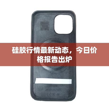 硅胶行情最新动态，今日价格报告出炉