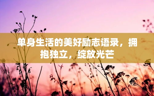 单身生活的美好励志语录，拥抱独立，绽放光芒