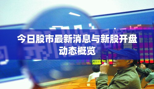 今日股市最新消息与新股开盘动态概览