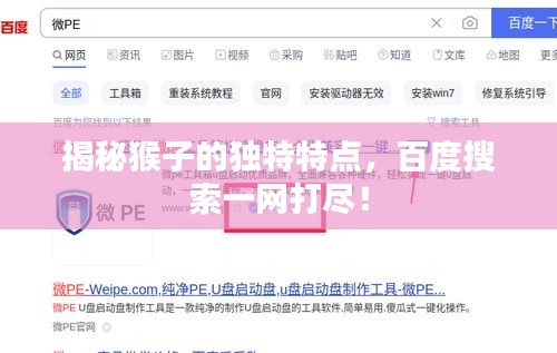 揭秘猴子的独特特点，百度搜索一网打尽！