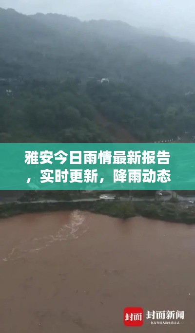 雅安今日雨情最新报告，实时更新，降雨动态一网打尽！