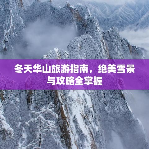 冬天华山旅游指南，绝美雪景与攻略全掌握