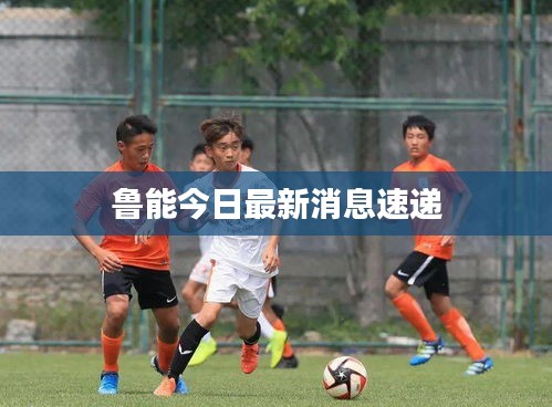 鲁能今日最新消息速递