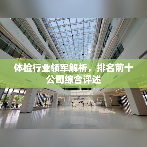 体检行业领军解析，排名前十公司综合评述
