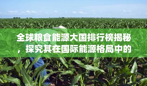 全球粮食能源大国排行榜揭秘，探究其在国际能源格局中的核心地位