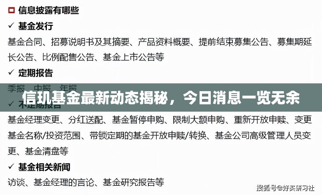 信玑基金最新动态揭秘，今日消息一览无余