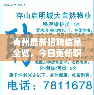 青州最新招聘信息全览，今日更新职位速递
