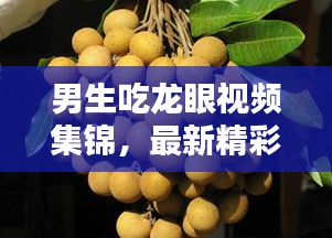 男生吃龙眼视频集锦，最新精彩瞬间一网打尽！