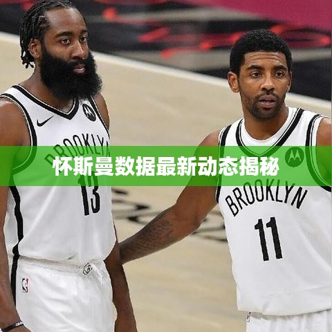怀斯曼数据最新动态揭秘