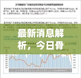 最新消息解析，今日骨粉市场走势及涨价情况揭秘