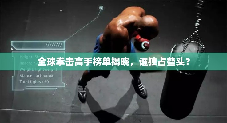 全球拳击高手榜单揭晓，谁独占鳌头？