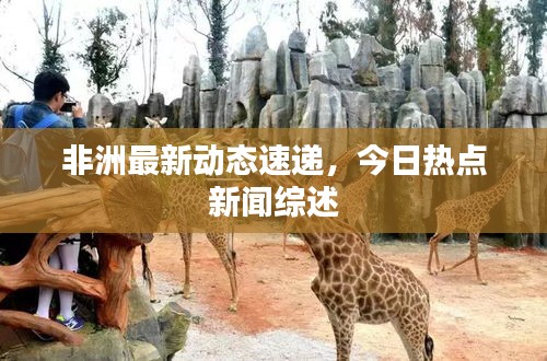 非洲最新动态速递，今日热点新闻综述