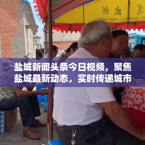 盐城新闻头条今日视频，聚焦盐城最新动态，实时传递城市声音