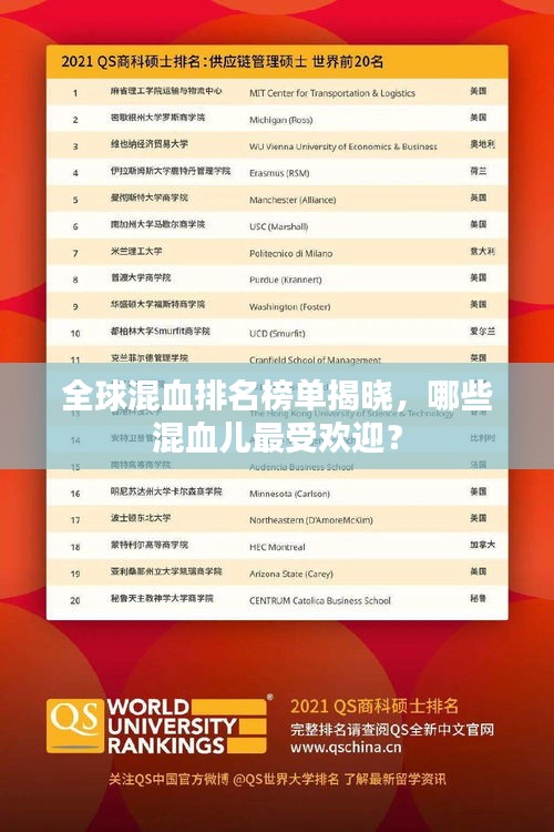 全球混血排名榜单揭晓，哪些混血儿最受欢迎？