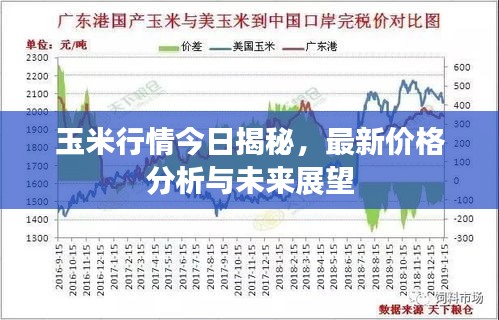 玉米行情今日揭秘，最新价格分析与未来展望