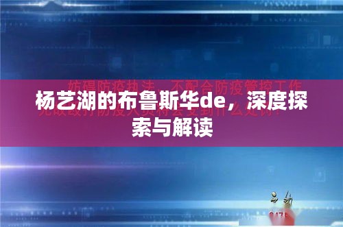 杨艺湖的布鲁斯华de，深度探索与解读