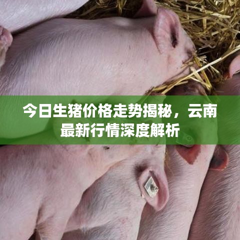 规模优势 第44页