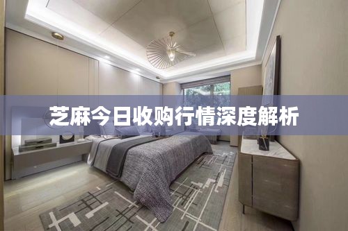 芝麻今日收购行情深度解析